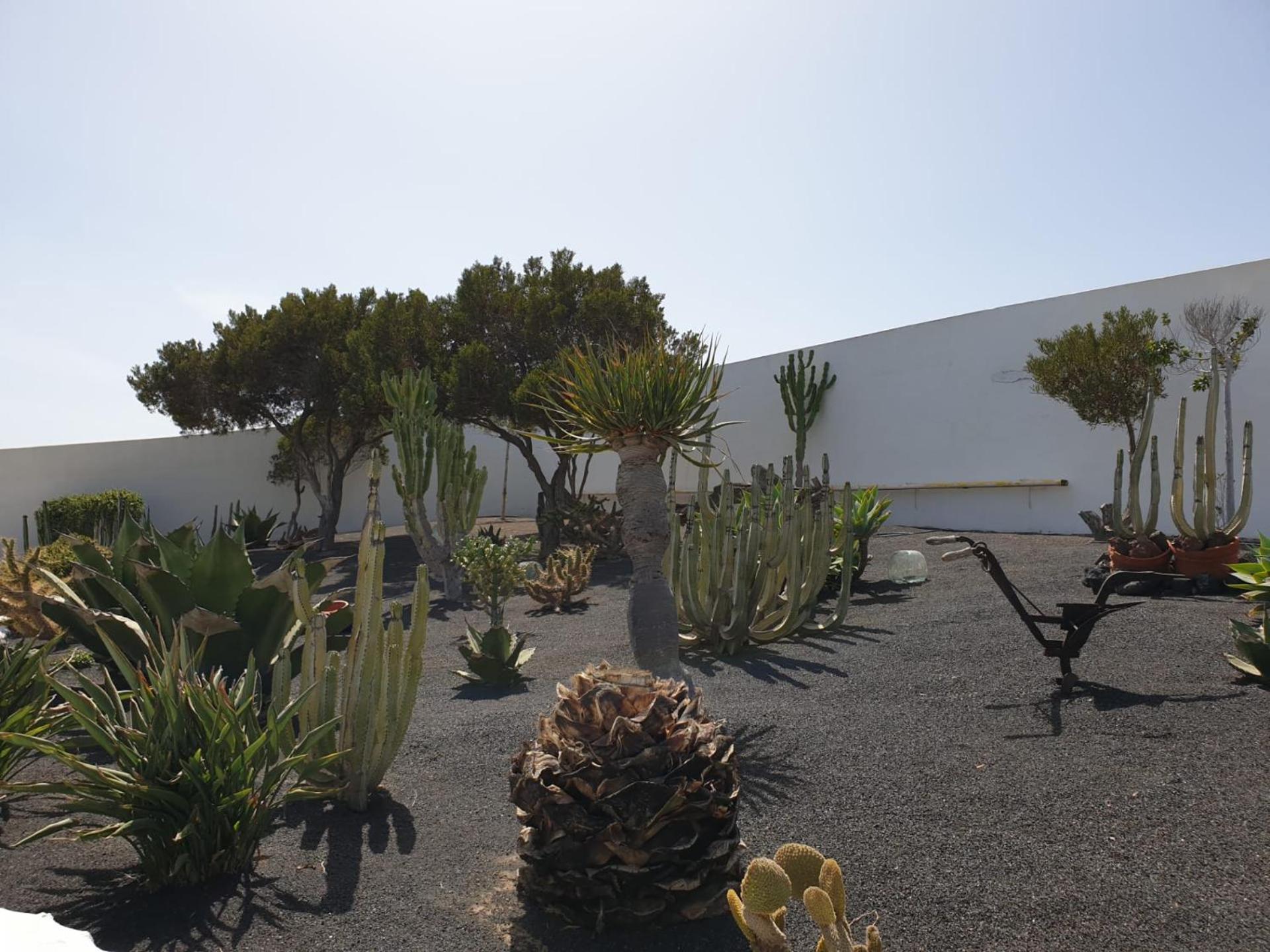 Casa Berriel 2 Villa Tías Eksteriør bilde