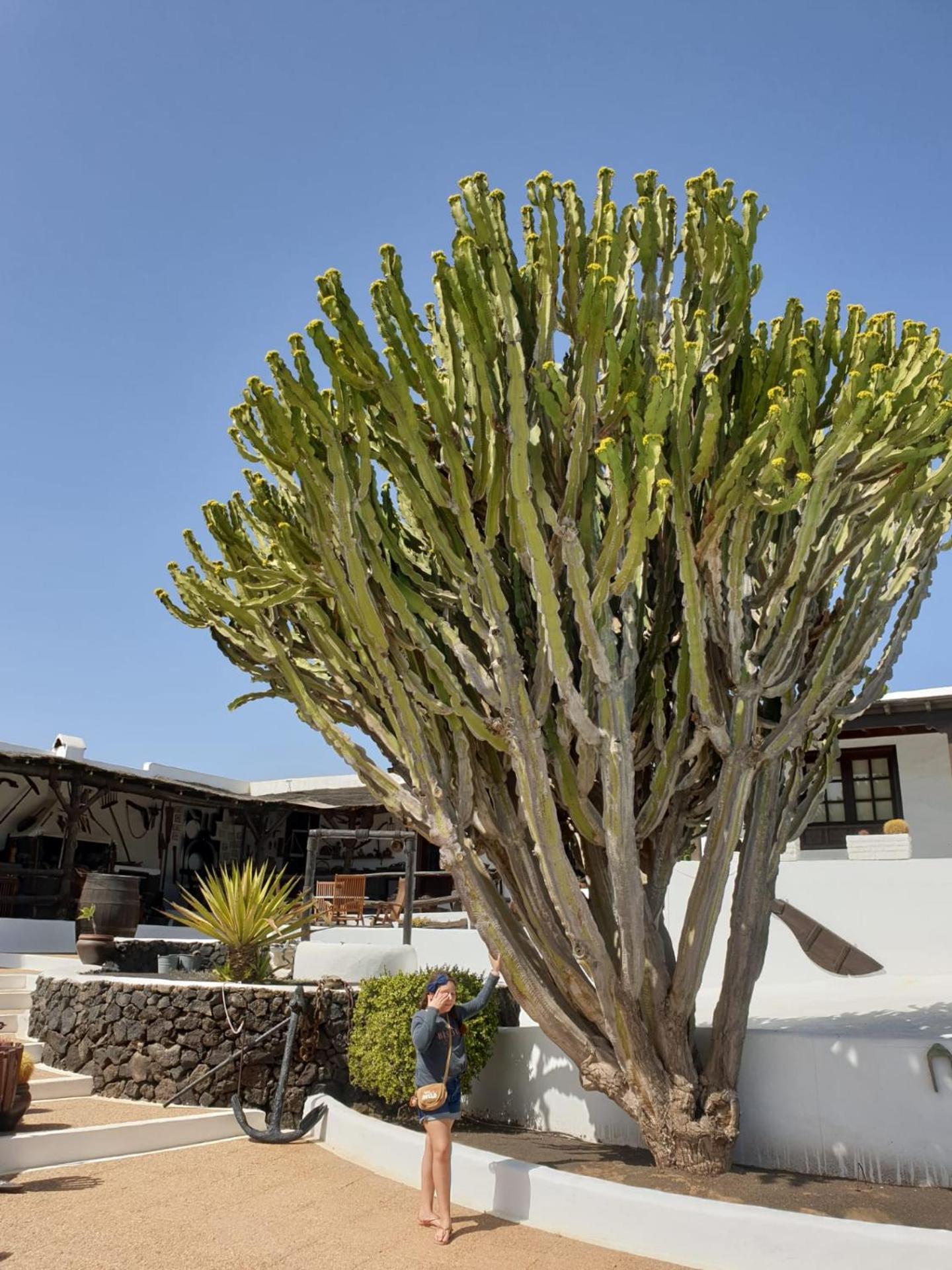 Casa Berriel 2 Villa Tías Eksteriør bilde